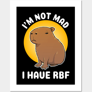 I'm not mad I have RBF Capybara Cartoon Posters and Art